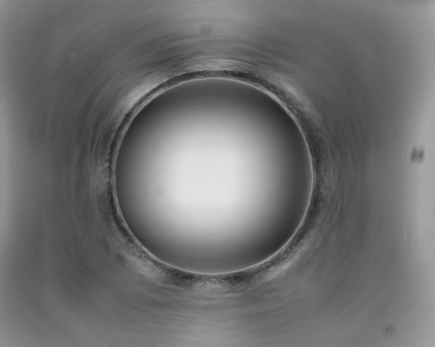 X0000092251073200709141143