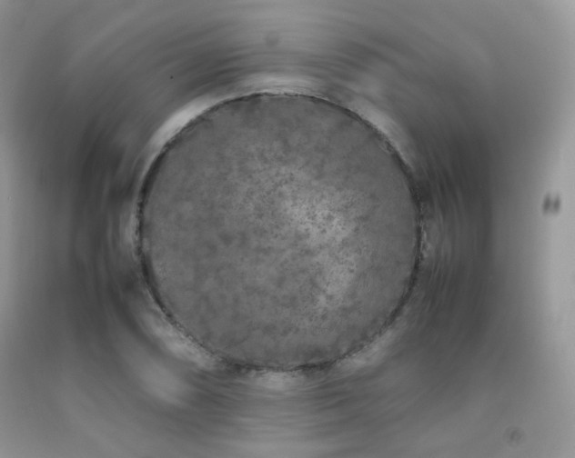 X0000092251074200709141143