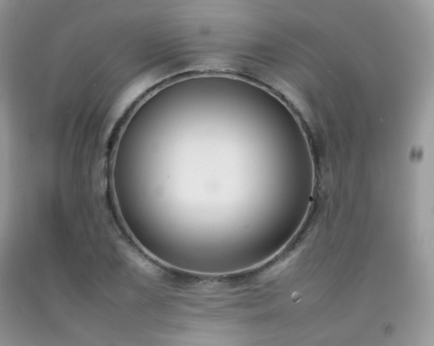 X0000092251075200709141143