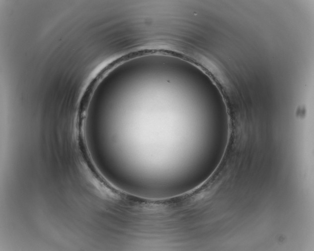 X0000092251076200709141143