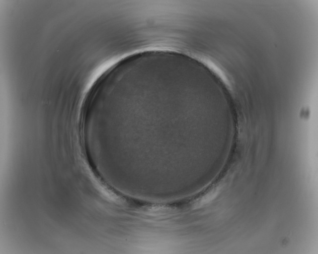X0000092251077200709141143