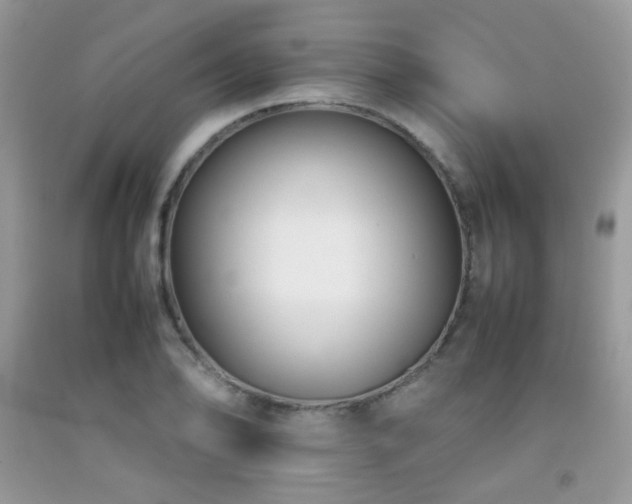 X0000092251078200709141143
