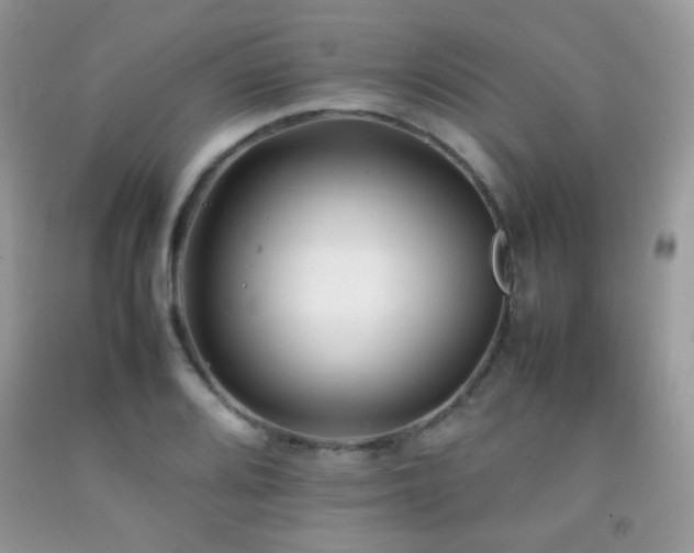 X0000092251080200709141143