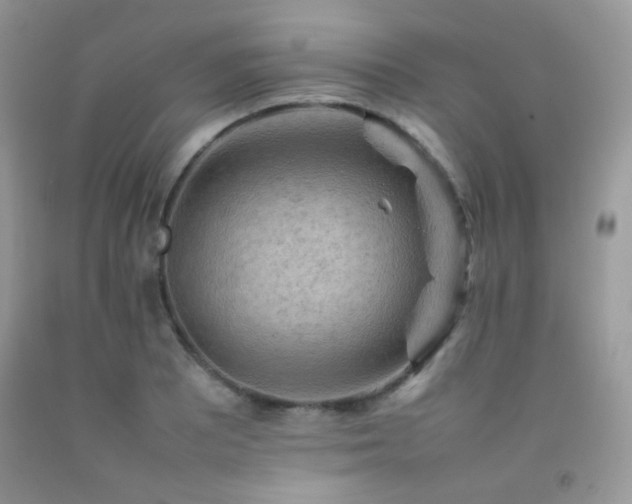 X0000092251081200709141143