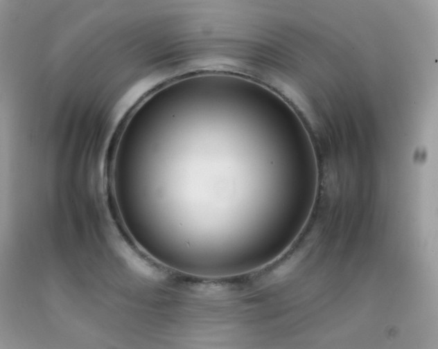 X0000092251082200709141143
