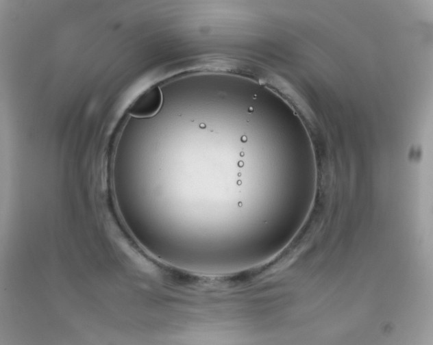 X0000092251083200709141143