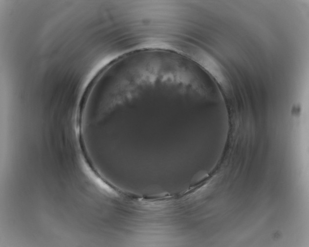 X0000092251084200709141143