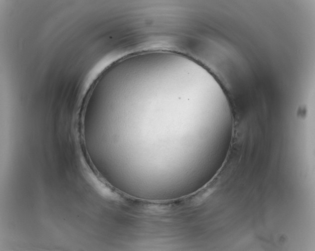 X0000092251086200709141143
