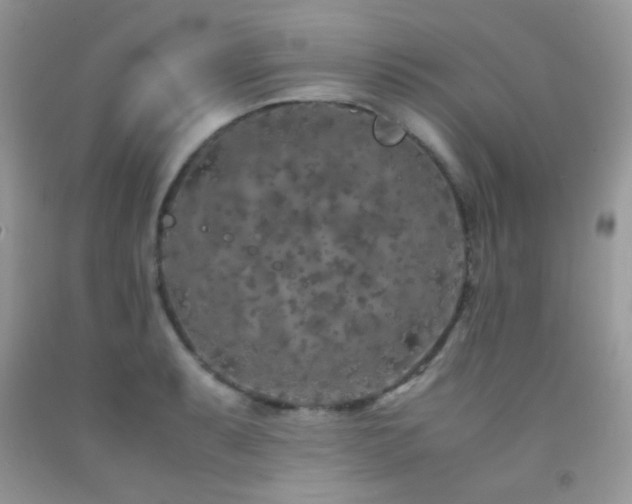 X0000092251087200709141143