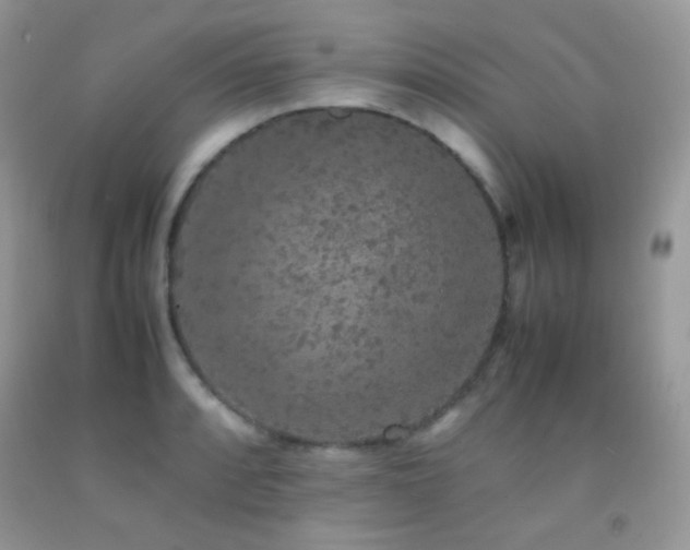 X0000092251088200709141143
