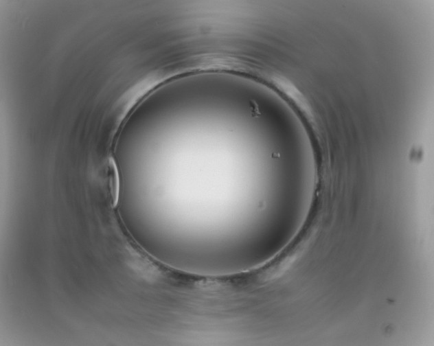 X0000092251089200709141143