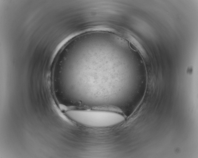 X0000092251092200709141143