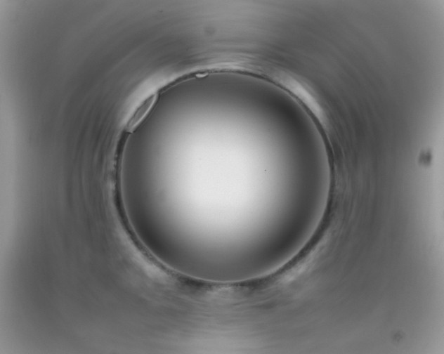 X0000092251093200709141143