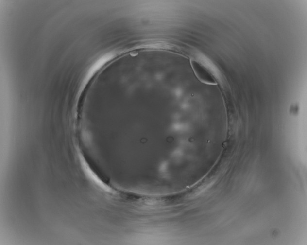 X0000092251095200709141143