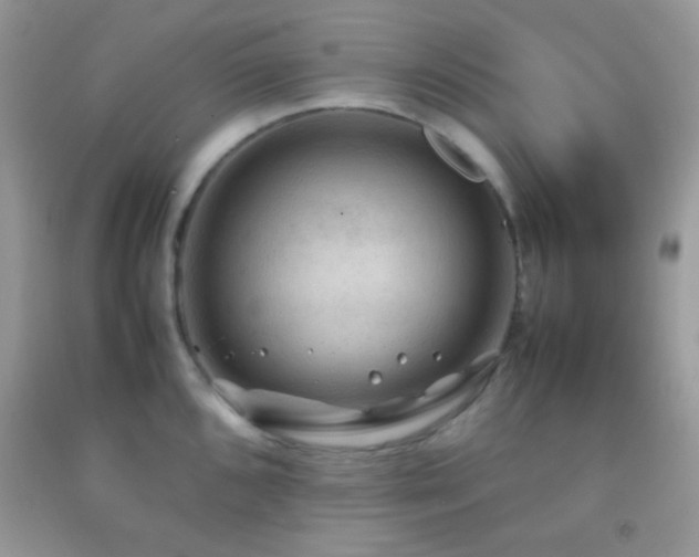 X0000092251096200709141143