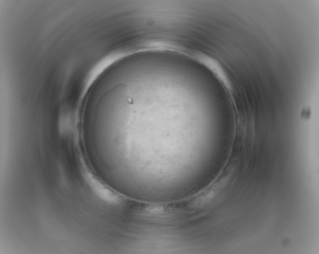 X0000092251098200709141143