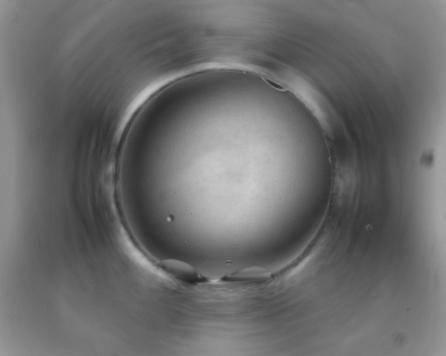 X0000092251100200709141143