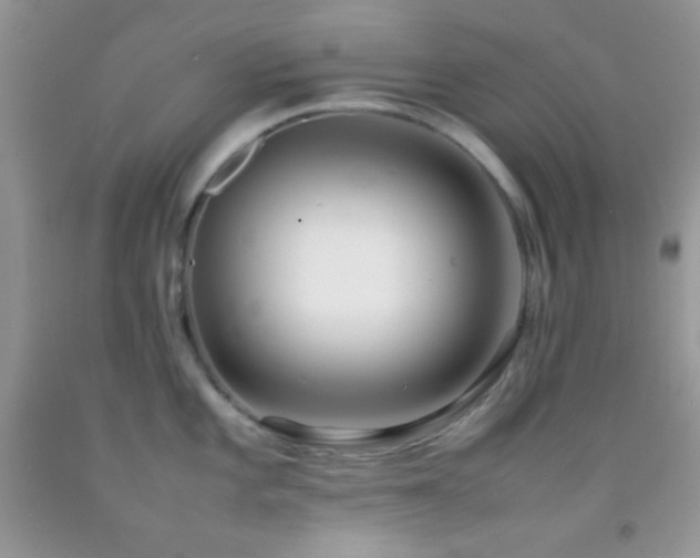 X0000092251101200709141143
