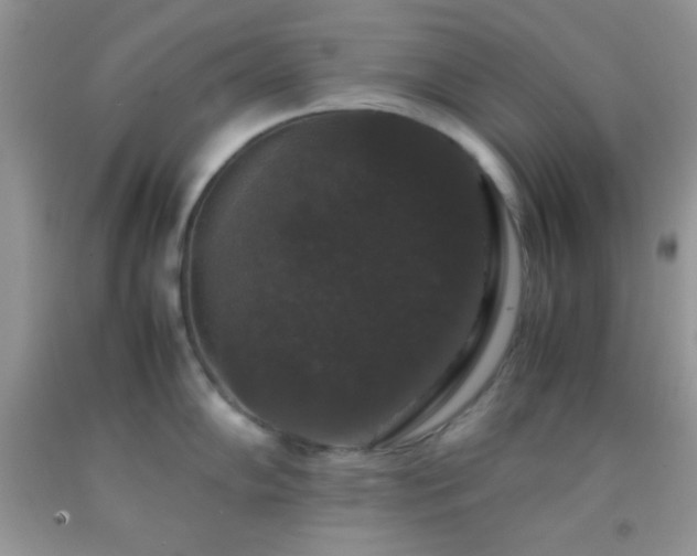 X0000092251102200709141143