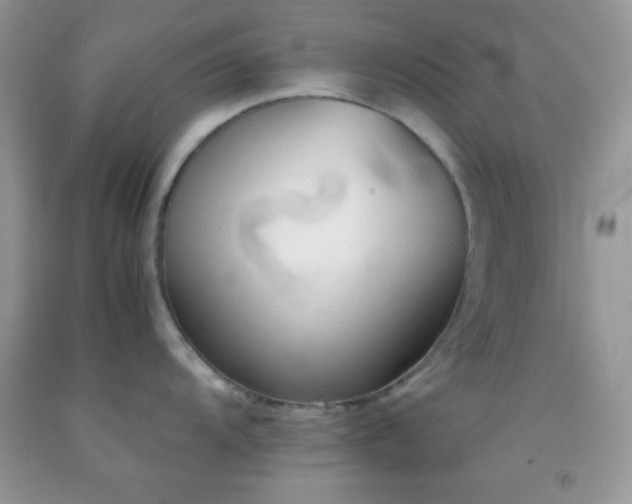 X0000092251104200709141143