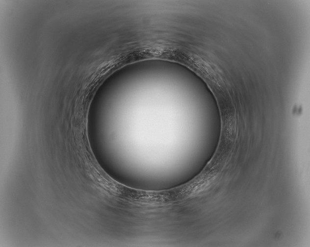 X0000092251105200709141142