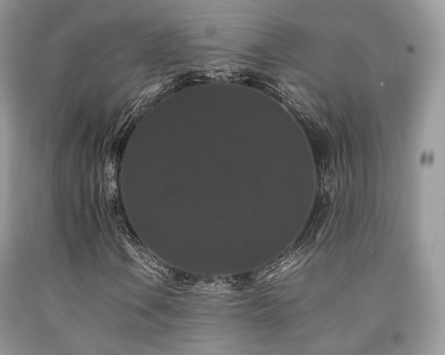 X0000092251106200709141142
