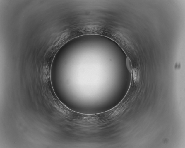 X0000092251107200709141142
