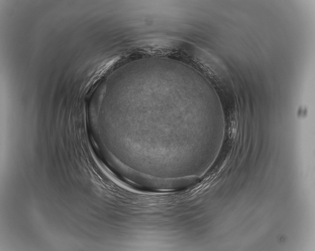 X0000092251108200709141142