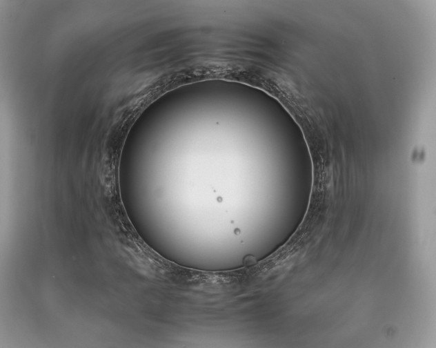 X0000092251109200709141142