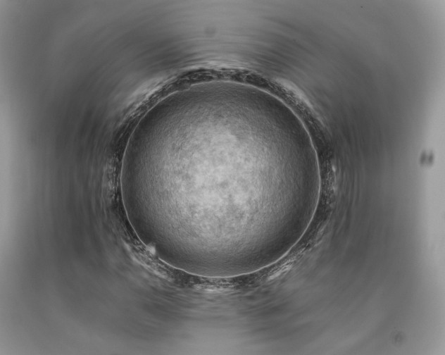 X0000092251110200709141142