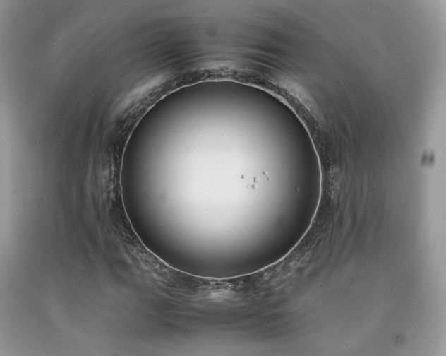 X0000092251111200709141142