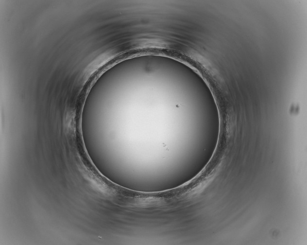 X0000092251113200709141142