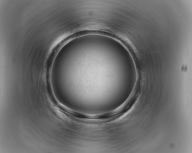 X0000092251114200709141142