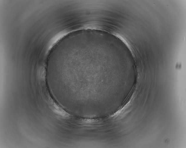 X0000092251115200709141142