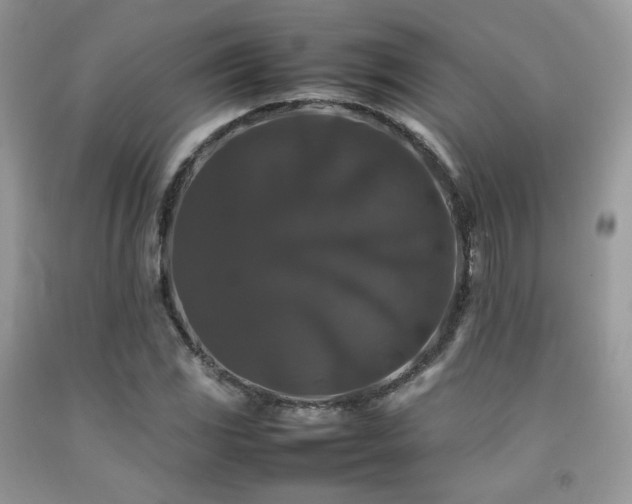 X0000092251117200709141142