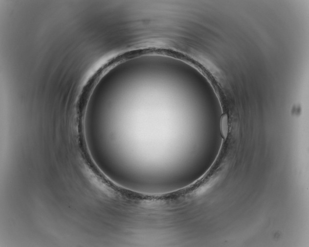 X0000092251118200709141142