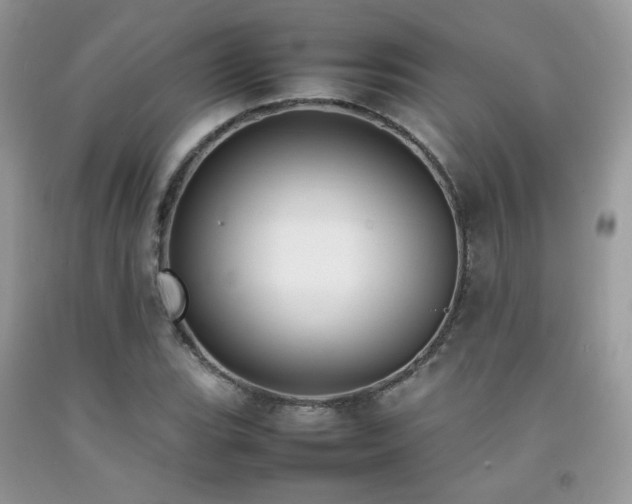 X0000092251119200709141142