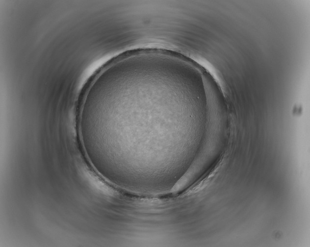 X0000092251120200709141142