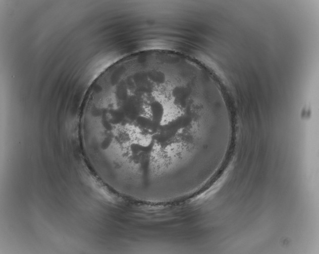 X0000092251121200709141142