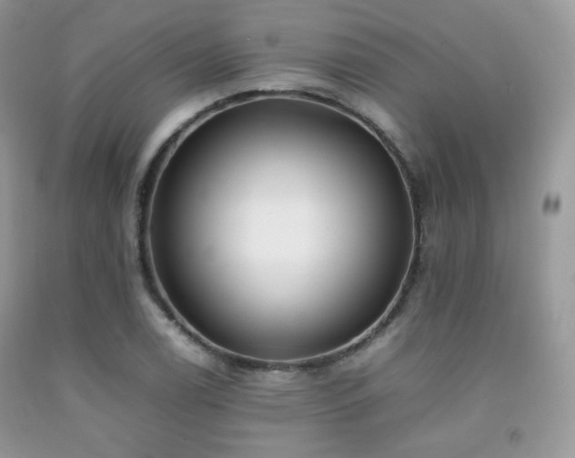 X0000092251122200709141142