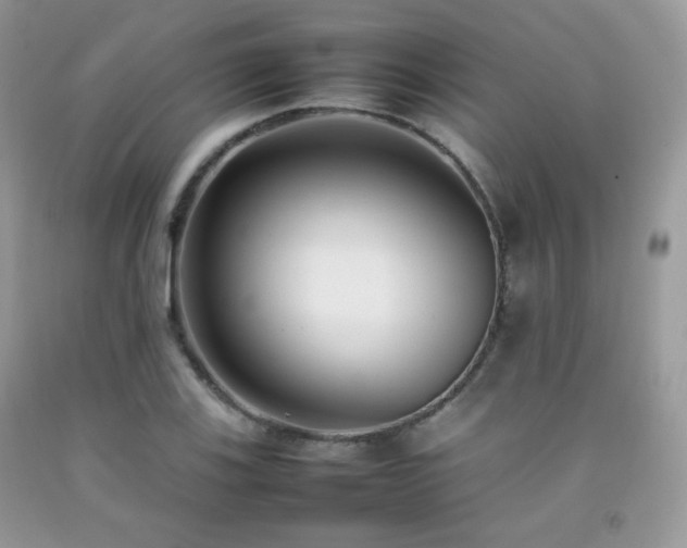 X0000092251123200709141142