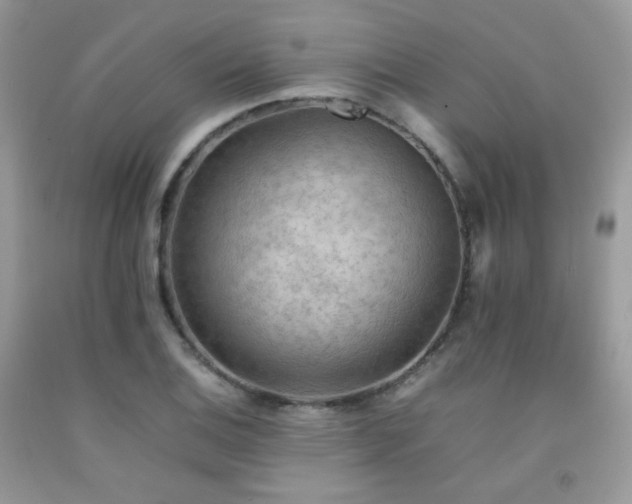 X0000092251124200709141142