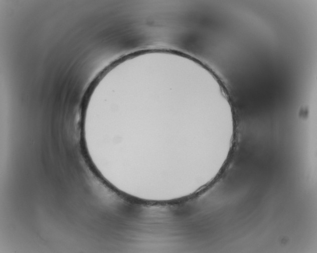 X0000092251126200709141142
