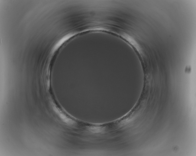 X0000092251127200709141142