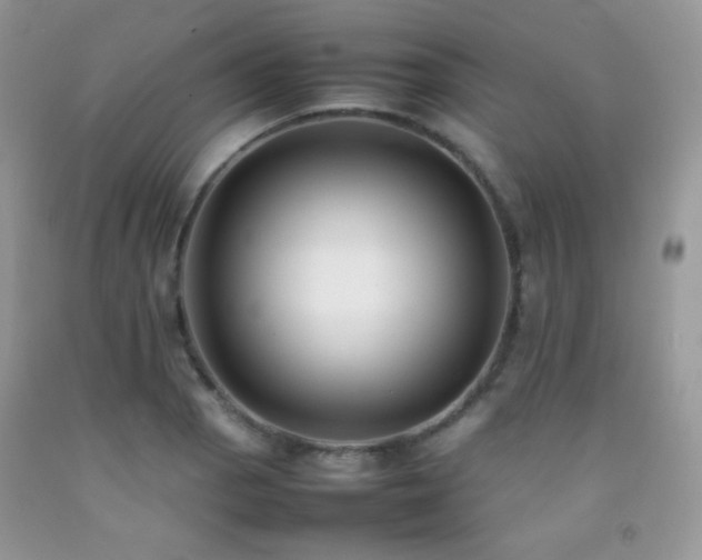 X0000092251129200709141142