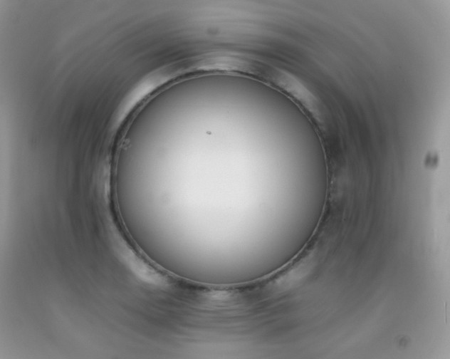 X0000092251130200709141142