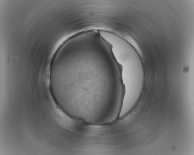 X0000092251132200709141142