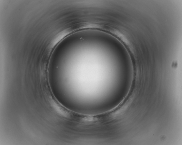 X0000092251137200709141142