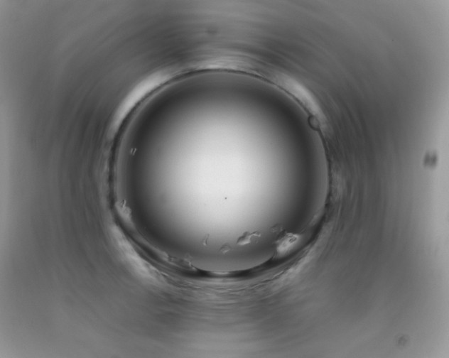 X0000092251138200709141142