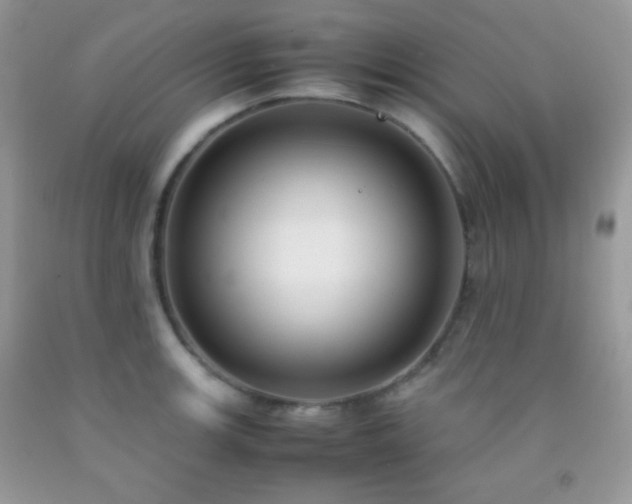 X0000092251139200709141143